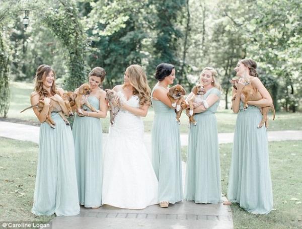 bride_with_puppies
