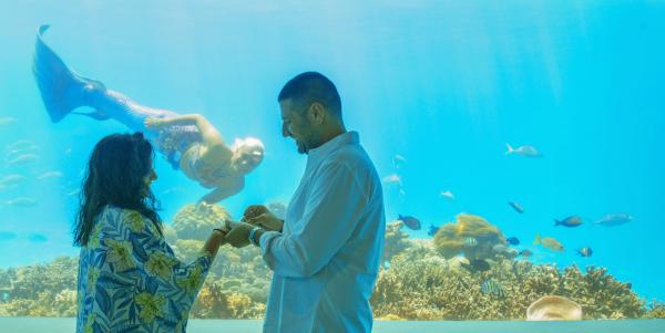 Underwater Wedding Proposal in The Maldives