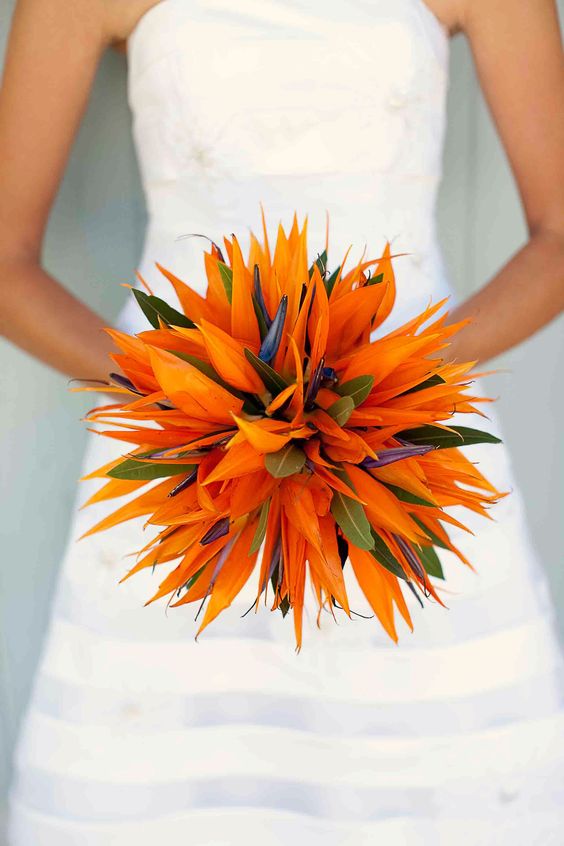 Bird Of Paradise Wedding Flowers Arabia Weddings