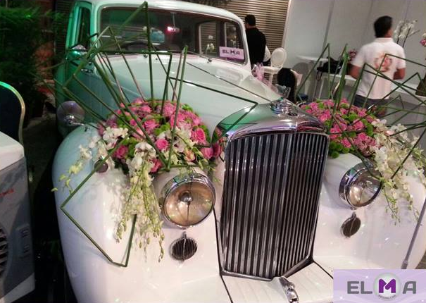 Elma Wedding Cars