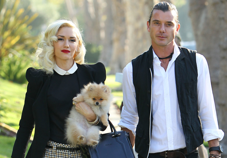 Gwen Stefani â€“ With ex husband Gavin Rossdale watch their