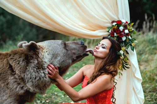 bear-wedding.jpg