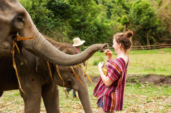 Elephant Jungle Sanctuary in Phuket