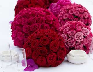 The Top Flower Shops in Sharjah