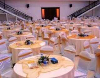 Al Raed Wedding Planner