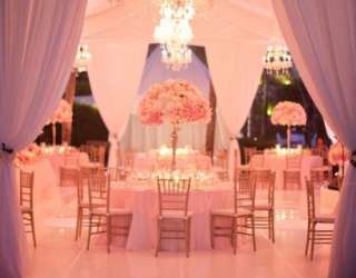 Altiplano Events & Wedding Organiser