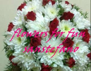 Flowers for Fun San Stefano