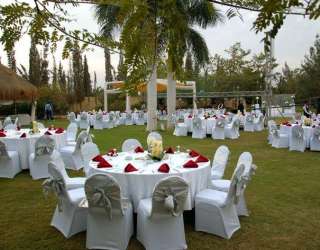 Dream For Event Planning & Catering Supply