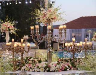 Perfecto Wedding Planner