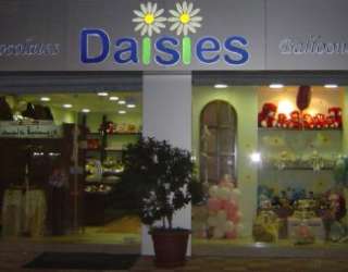 Daisies Chocolates & Balloons