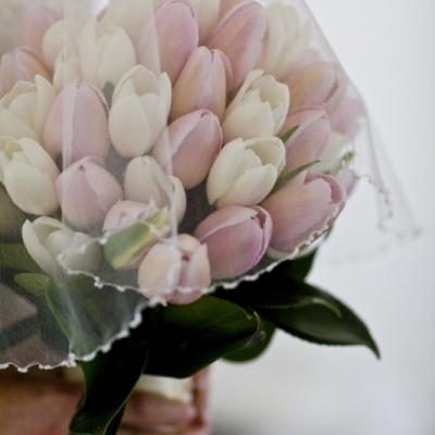 مسكات عرايس من أزهار التوليب لعروس الربيع