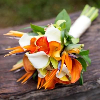 A Wedding Favorite: The Bird of Paradise Flower