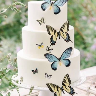 حفل زفاف جميل بثيم الفراشات