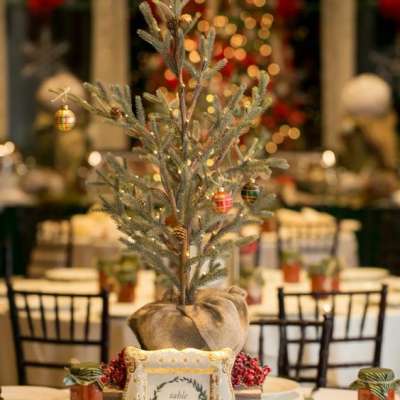 Ideas for a Rustic Christmas Wedding Wonderland