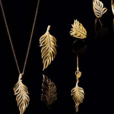 ديما كوليكشن