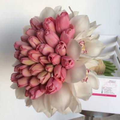 أزهار جاردينيا - راس الخيمة