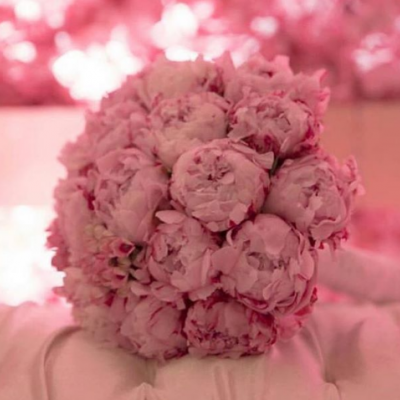 كوش بيت ورد