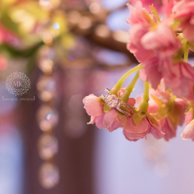 استديو ماجيكال 