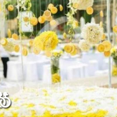 Event Leches Wedding Planner