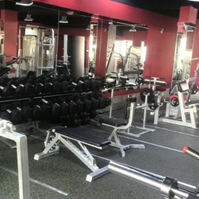 نادي فيلوستي فيتنس