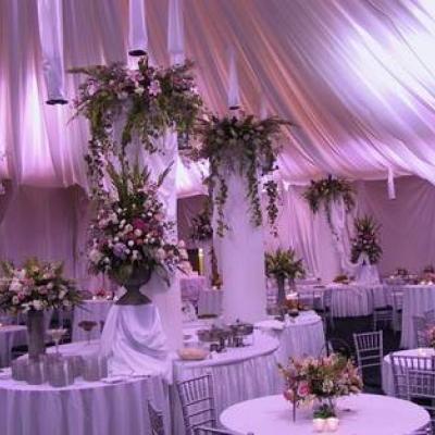 Fantasy Wedding Planner and Event Organizer