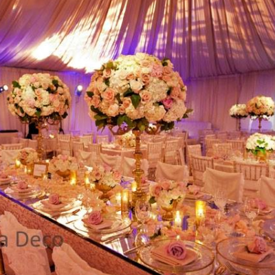 دنيا ديكو  لتنظيم الحفلات