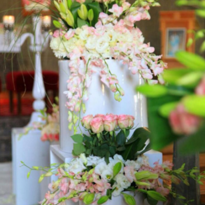 أزهار ايلاريا