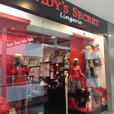 لايديز سيكرت لانجري