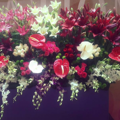 أزهار فلورتيشين