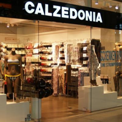 كالزيدونيا دبي