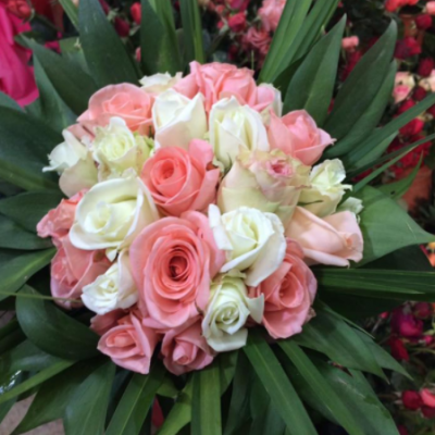 Flower City - Algiers