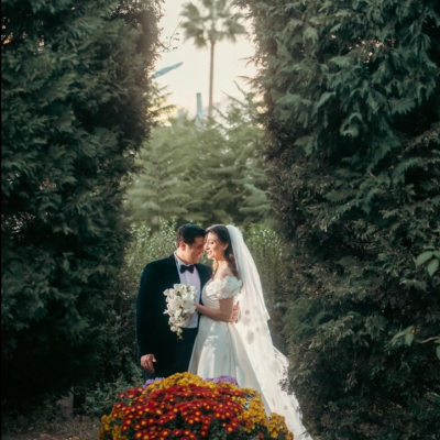 اي كيو ودينقز