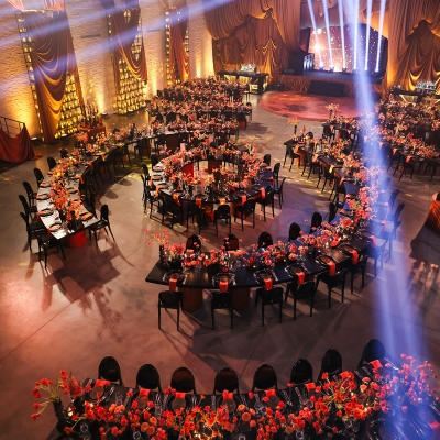 ذا فيلا فينيو