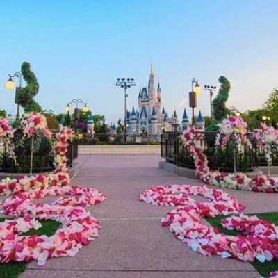Disney World Unveils New Wedding Venue