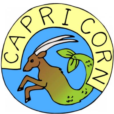Horoscope Spotlight: Capricorn 22 December – 20 January