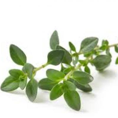 Beauty Benefits of Thyme