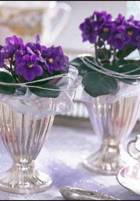 The ‘African Violet’ for Your Winter Wedding