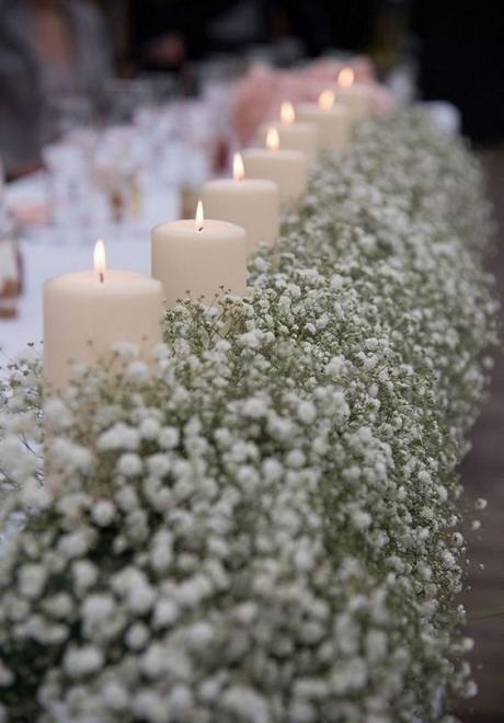 أزهار الجيبسوفيلا... من الخيارات المفضلة لحفل الزفاف 