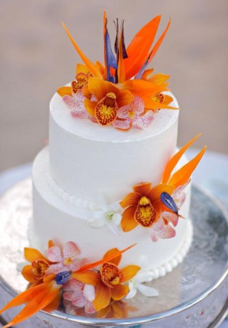 A Wedding Favorite: The Bird of Paradise Flower