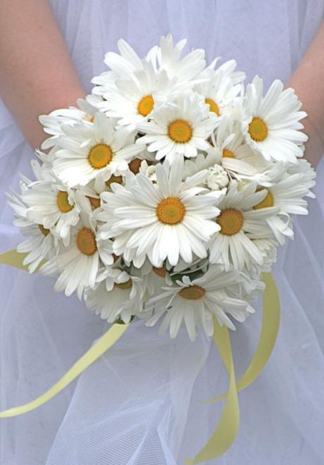 أزهار الأقحوان لحفل زفاف ربيعي وصيفي