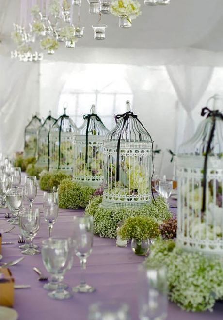 سنتربيس من الأقفاص لحفل زفافك في فصل الربيع