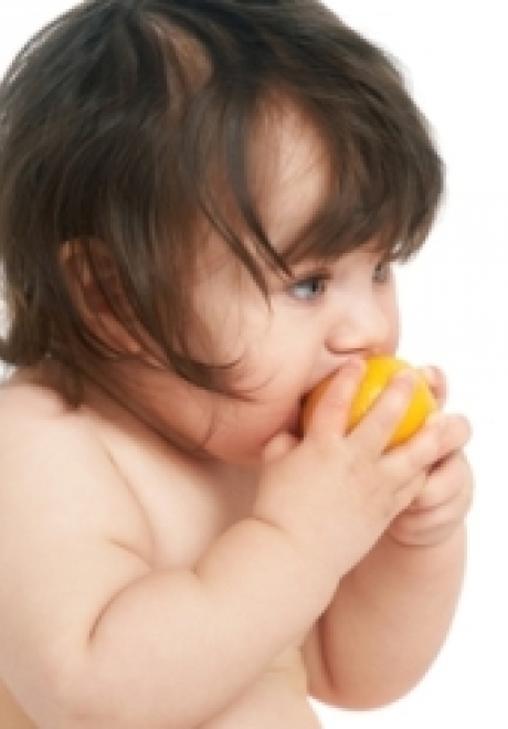 A Guide to Introducing Your Baby to Solid Foods A Guide to Introducing Your Baby to Solid Foods