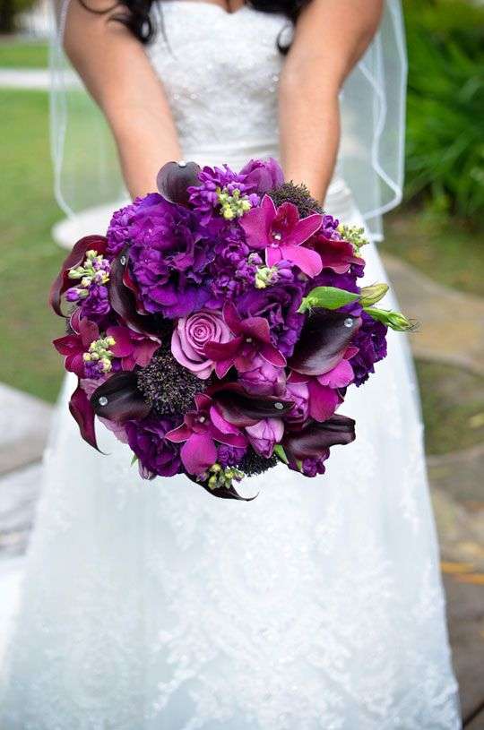purple brides
