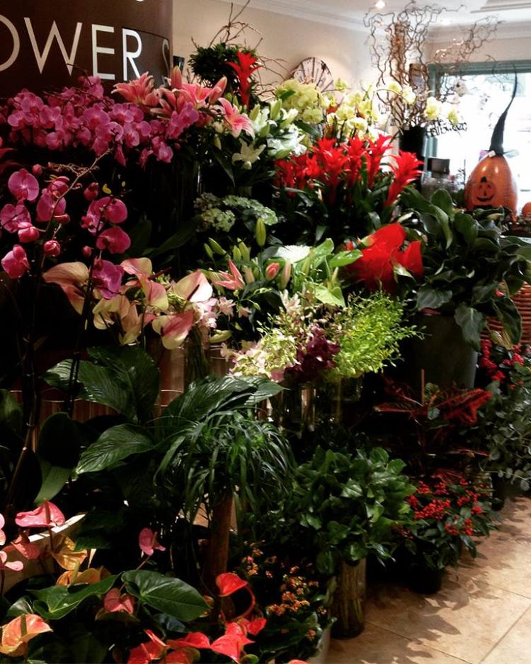 The Top Flower Shops in Muscat