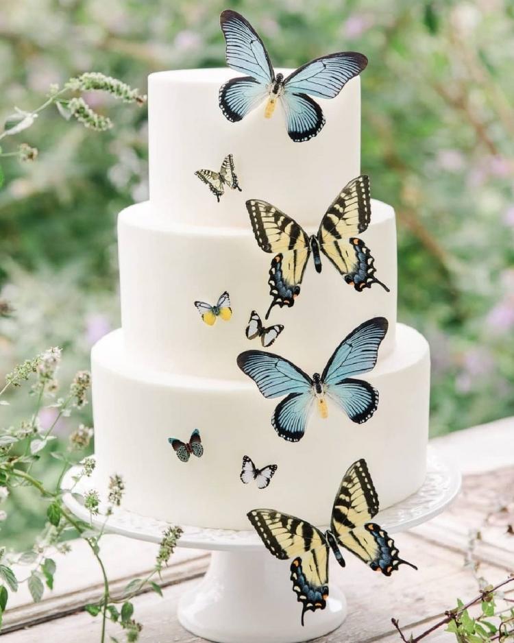 حفل زفاف جميل بثيم الفراشات