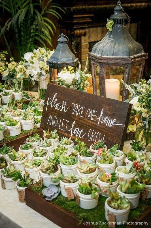 Succulent Wedding Favors