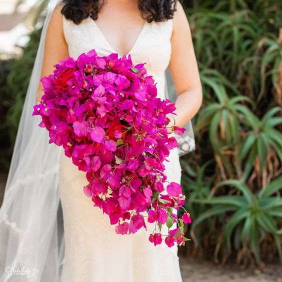 مسكة عروس من أزهار البوغنفيلية