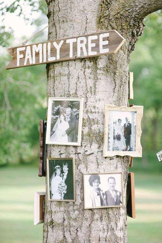 شجرة العائلة