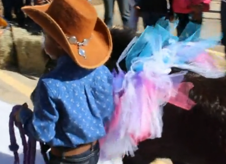 Five Year Old Holds Wedding For His Pony Five Year Old Holds Wedding For His Pony
