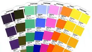 Pantone Releases Its 2017 Color of The Year Predictions